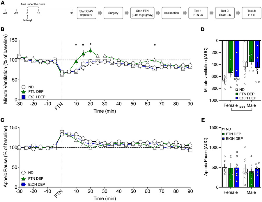Effect of 25 μg/kg fentanyl in fentanyl- and alcohol-dependent and nonde...