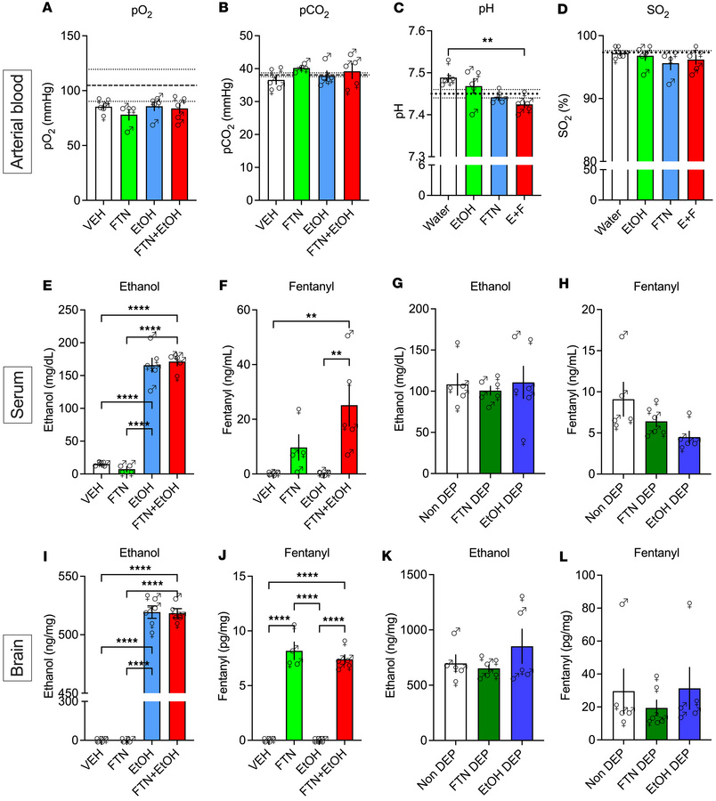 Effects of 25 μg/kg fentanyl and 0.59 g/kg alcohol on arterial partial p...