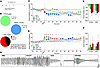 Effects of 25 μg/kg fentanyl and 1.18 g/kg alcohol alone and combined on mi