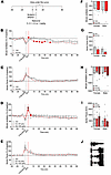 Effect of naloxone on respiratory depression induced by fentanyl+alcohol (2