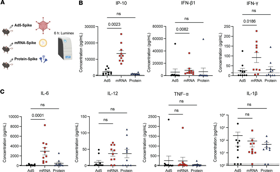Acute cytokine profiles following immunization with Ad5, mRNA, and prote...