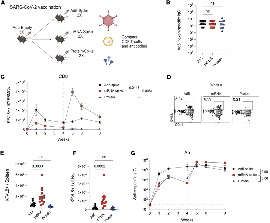 Comparative analyses of adaptive immune responses in Ad5 seropositive ho...