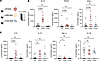 Acute cytokine profiles following immunization with Ad5, mRNA, and protein