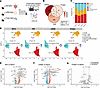 scRNA-Seq analyses reveal enrichment in IFN pathways and viral sensing path
