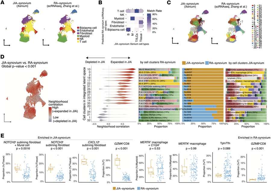 Comparative analysis of JIA and RA synovium using integrated spatial-tra...