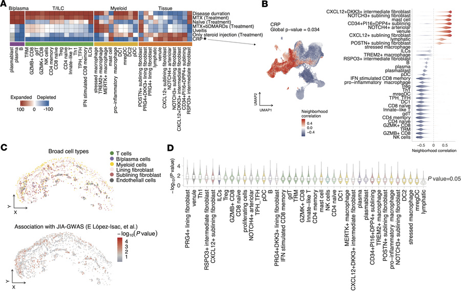 Links between synovial cell states and clinical phenotypes in JIA.
(A) H...