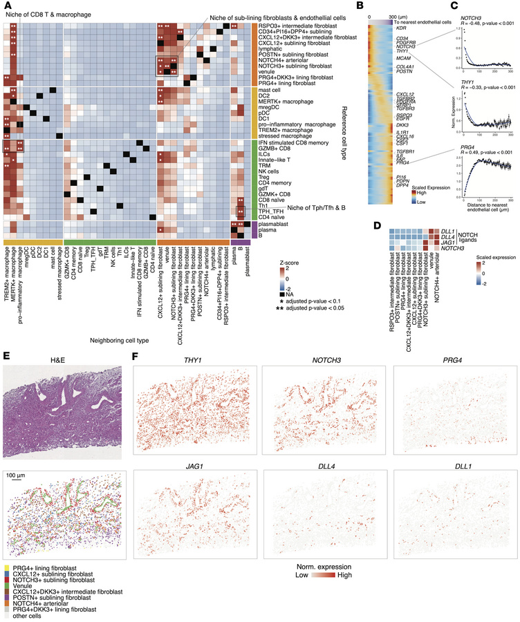 Spatial neighborhood enrichment analysis framework characterizes niche o...