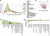 Composition of cell states in TLS.