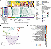 Characterization of spatial niches in JIA synovium.