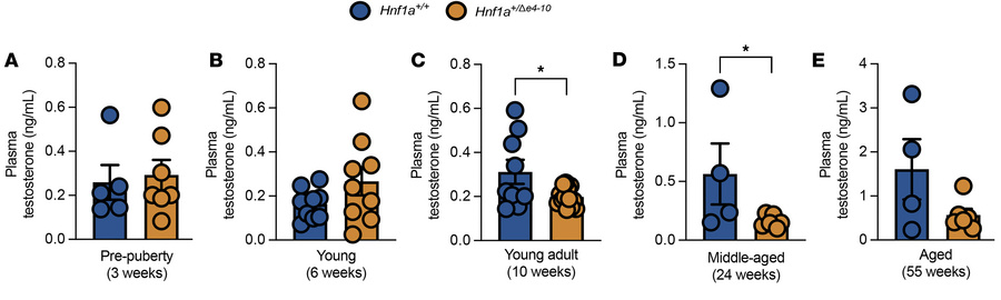 Testosterone levels in male Hnf1a+/Δe4-10 mice.
(A–E) Plasma testosteron...