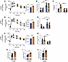 Metabolic characterization of aged Hnf1a+/Δe4-10 male mice.