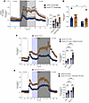 Insulin and glucagon secretion from isolated islets of Hnf1a+/+ and Hnf1a+/