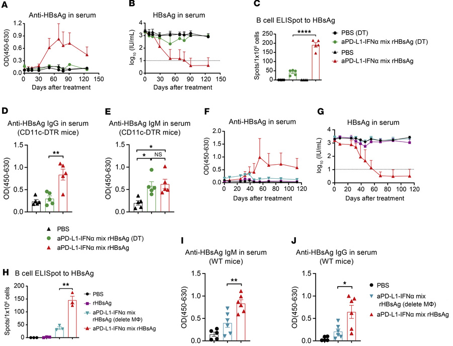 aPD-L1–IFN-α breaks immune tolerance to rHBsAg vaccine through coordinat...