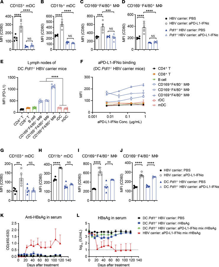 aPD-L1–IFN-α overcomes immune tolerance by aPD-L1-mediated cis-targeting...