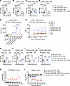 aPD-L1–IFN-α overcomes immune tolerance by aPD-L1-mediated cis-targeting.