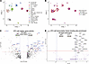Single-cell ATAC-seq demonstrates altered AT2 cell chromatin accessibility