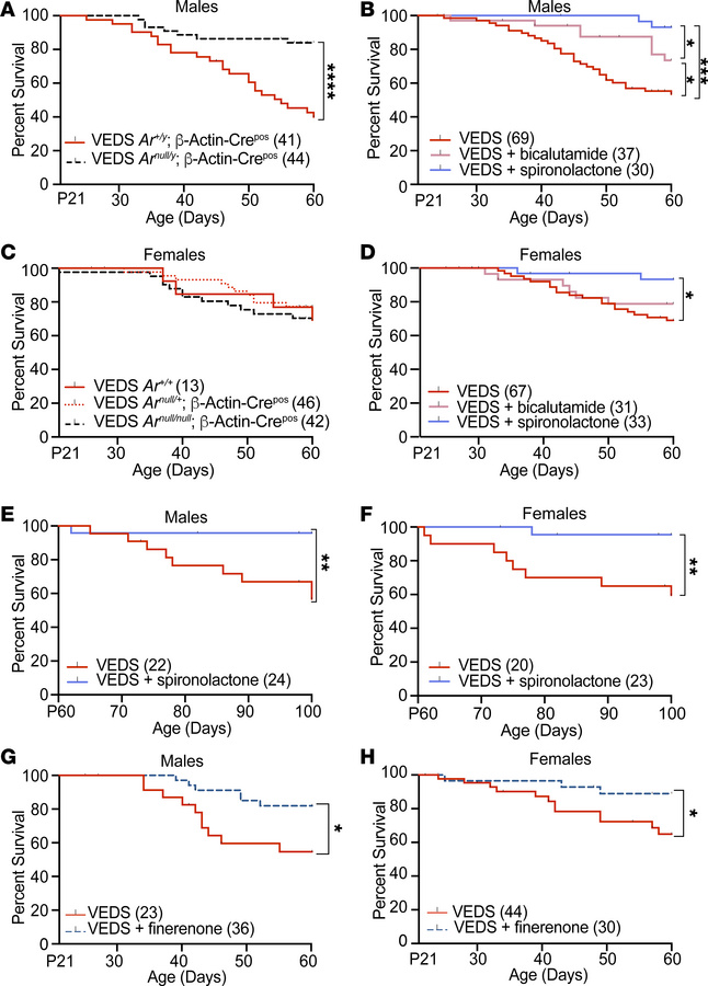 AR antagonism eliminates sexual dimorphism in survival, while MR antagon...