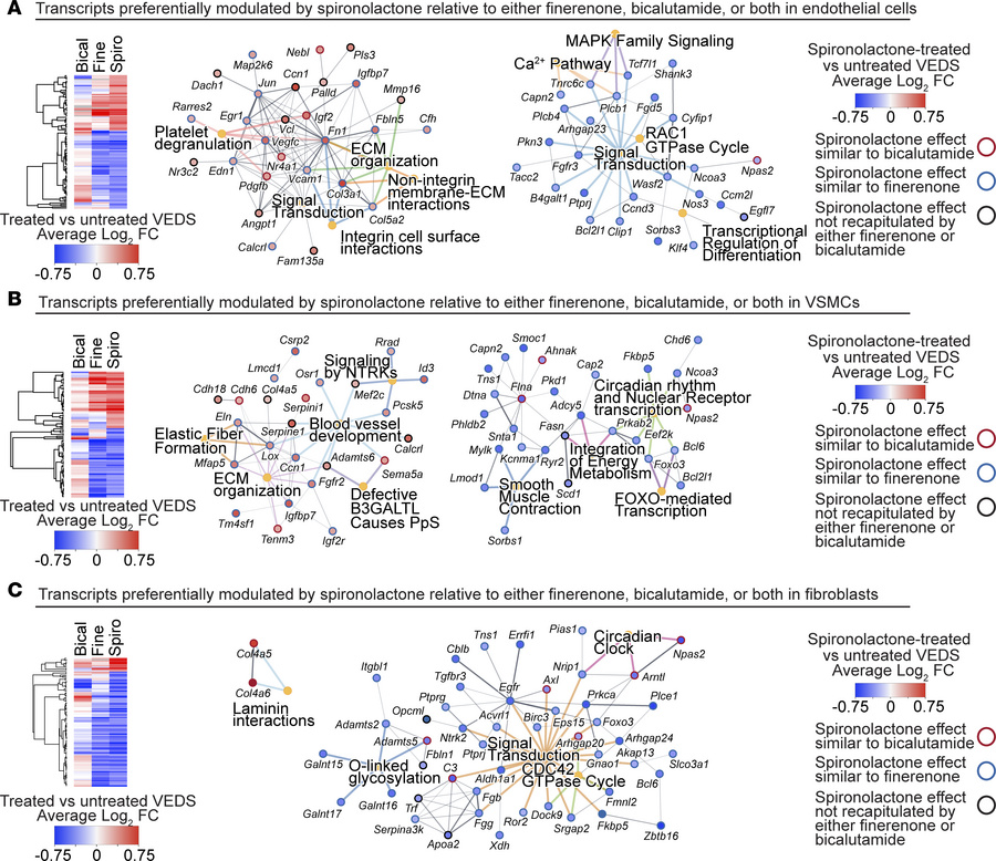 Pathways enriched within transcripts preferentially modulated by spirono...