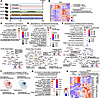 Coadministration of hydralazine with androgen inhibitors induces upregulati