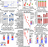 AR/MR inhibition upregulates transcripts promoting ECM deposition and aerob