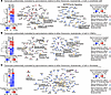 Pathways enriched within transcripts preferentially modulated by spironolac