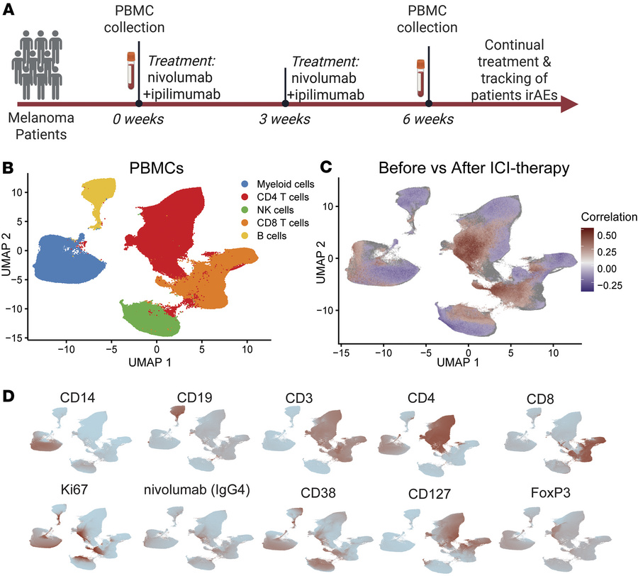 Changes in circulating cell frequency following combination ICI therapy....