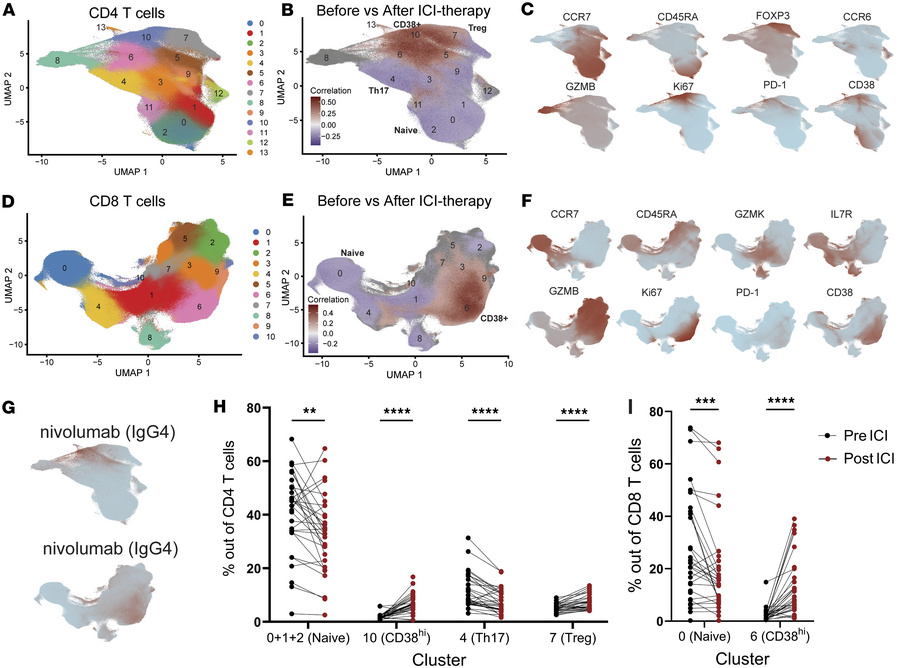 Changes in T cells following combination ICI therapy.
(A) UMAP represent...