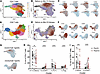 Changes in T cells following combination ICI therapy.