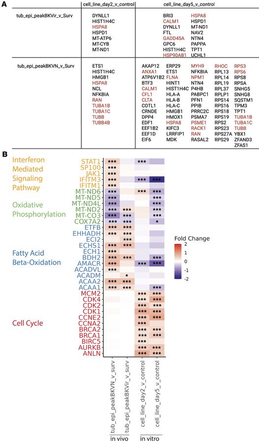 Similarities and differences between in vivo transcriptional signatures ...