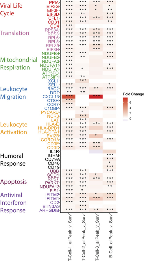 Expression signatures from T and B cells, comparing allPeak to surveilla...