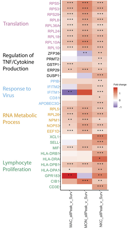 Innate immune cells transcriptional responses with peaking BK viremia co...