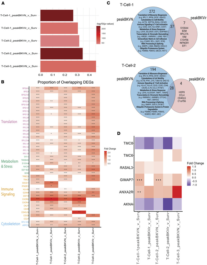 Expression of TCMR-associated genes in T cell populations of patients wi...