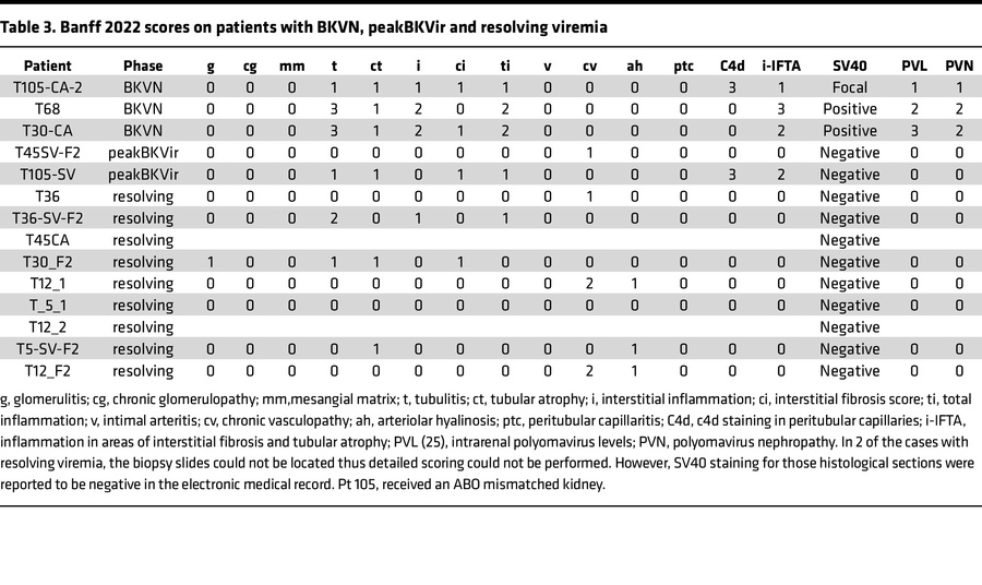 Banff 2022 scores on patients with BKVN, peakBKVir and resolving viremia