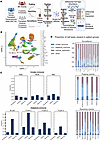 Single-cell RNA-seq of BKV and BKVN in transplant kidney biopsies.