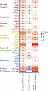 Expression signature of tubular epithelial cells with BKVN and BKVir compar