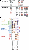 Similarities and differences between in vivo transcriptional signatures and