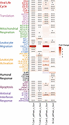 Expression signatures from T and B cells, comparing allPeak to surveillance