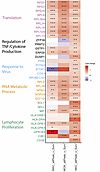 Innate immune cells transcriptional responses with peaking BK viremia compa