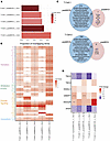 Expression of TCMR-associated genes in T cell populations of patients with