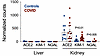 Comparison of KIM-1, LCN2/NGAL, and ACE2 mRNA abundance in autopsy kidneys