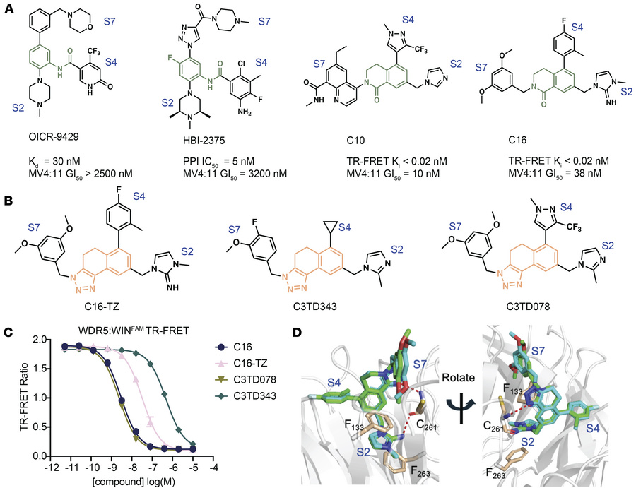 Biochemical and structural characterization of triazole-based WDR5 inhib...