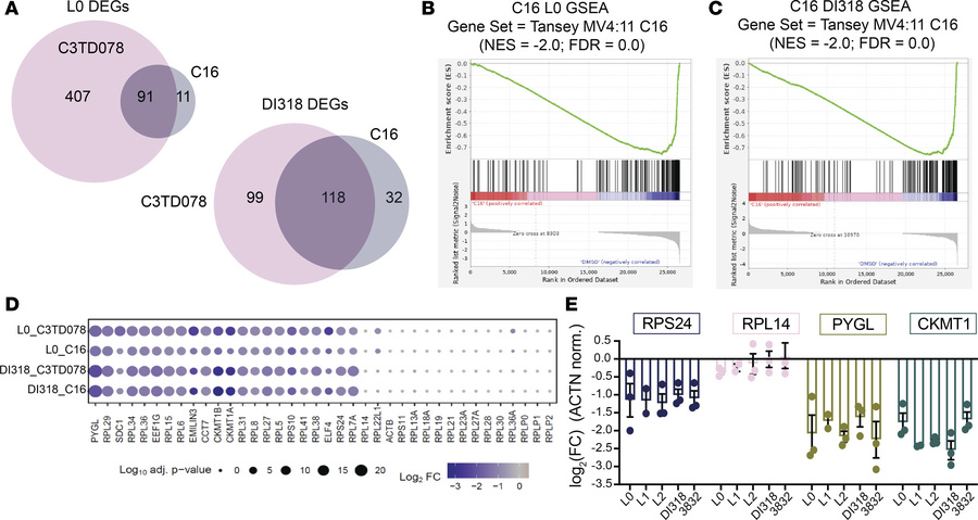 Transcriptional profiling of CSCs treated for 72 hours with 200 nM of di...