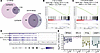 Transcriptional profiling of CSCs treated for 72 hours with 200 nM of diffe