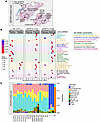 Transcriptomic profiles of DGCR8-mutated thyroid lesions.