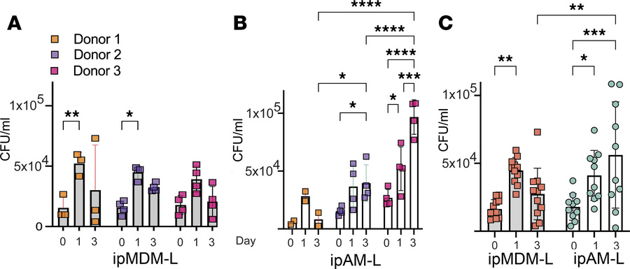 ipAM-Ls are permissive for tuberculosis growth.
ipMDM-Ls (A) and ipAM-Ls...