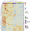 ipAM-Ls and ipMDM-Ls resemble human alveolar and monocyte-derived macrophag
