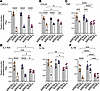 ipAM-L cells are hypoinflammatory with Mtb infection.