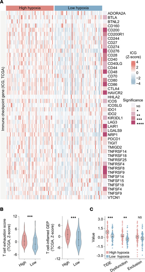 Immunological characterization of patients with TNBC stratified by hypox...