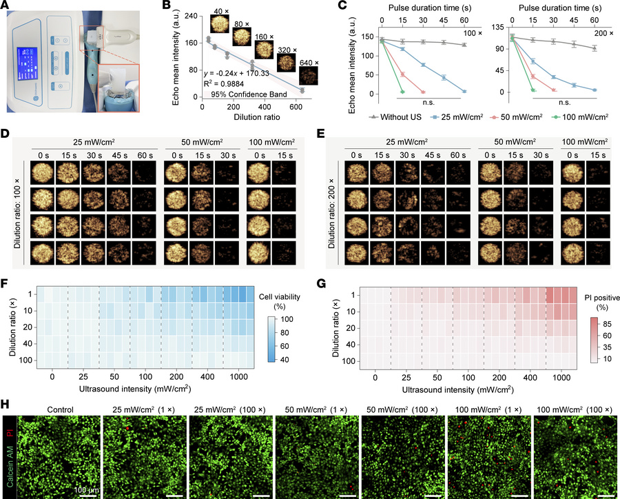 Evaluation of UTMC-induced microbubble disruption and endothelial cell d...