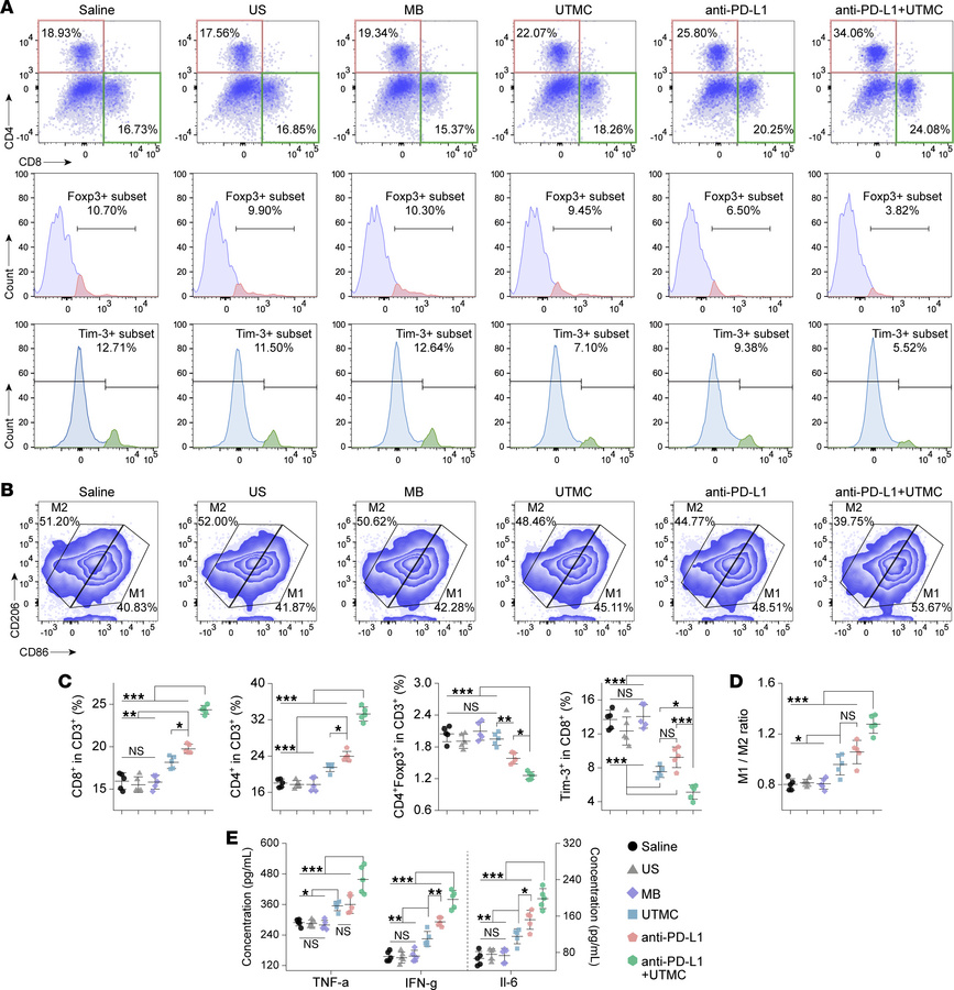 Evaluation of immune cell infiltration in tumor tissues following combin...